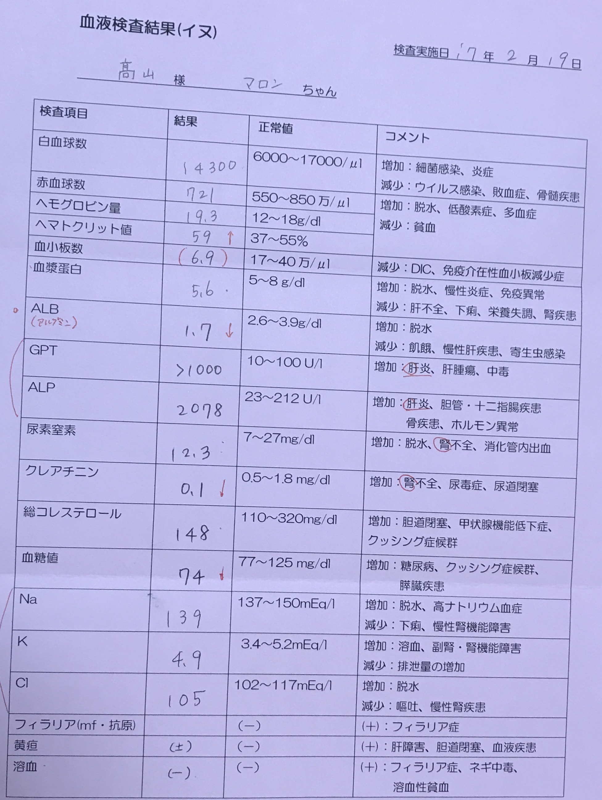 血液検査結果について 質問と回答 だいじょうぶ マイペット